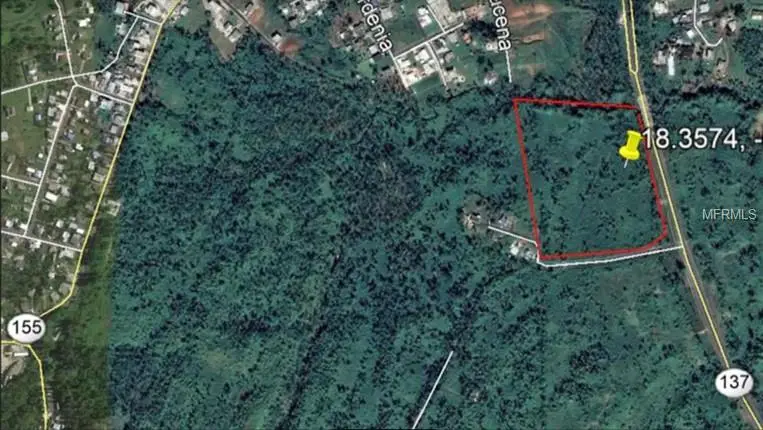 Pr137, PR