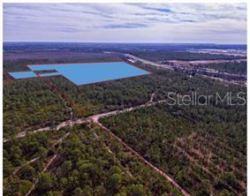 International Drive, FL