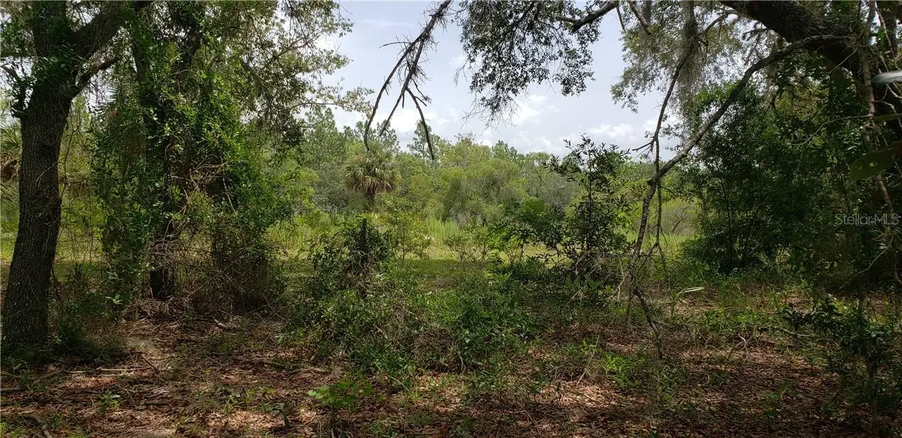 Lot 11 Alt Hwy 27, FL