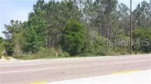International Drive, FL