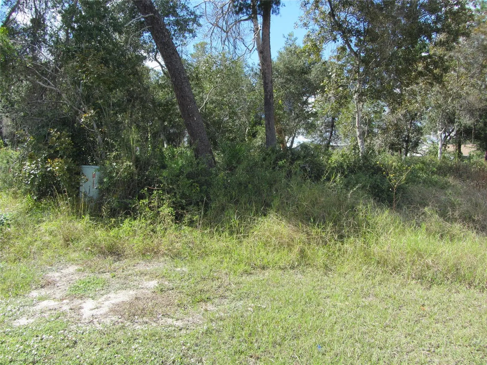1684 Catalina Blvd, FL