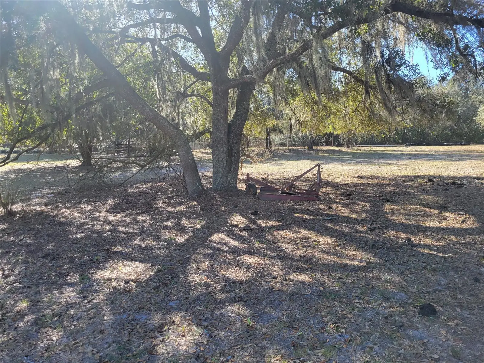 3142 Plymouth Sorrento Road, FL