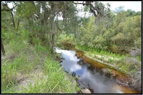 7019 Crooked Creek Lane, FL