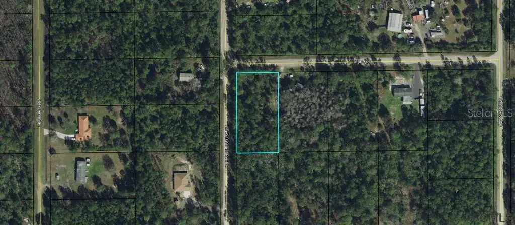 6131 Bush Street, FL