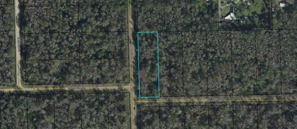 3936 Evergreen Avenue, FL