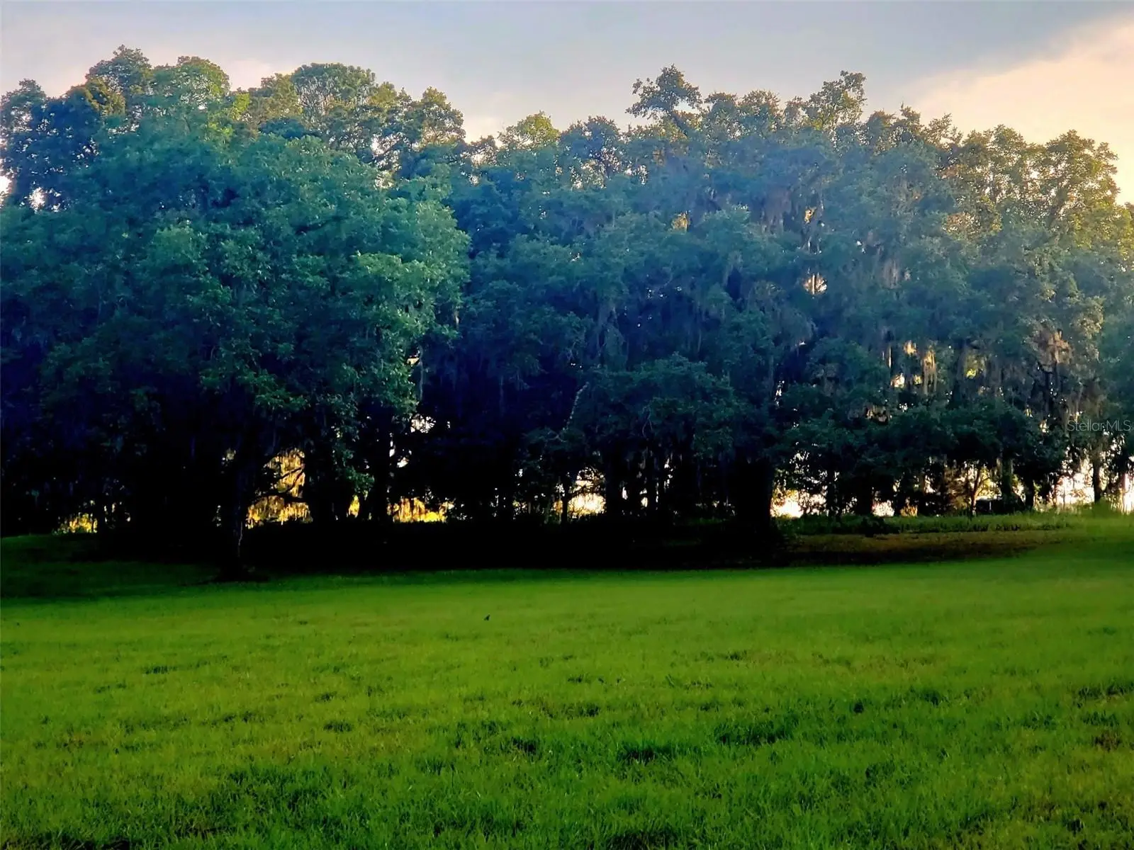 1077 144th Court Road, FL