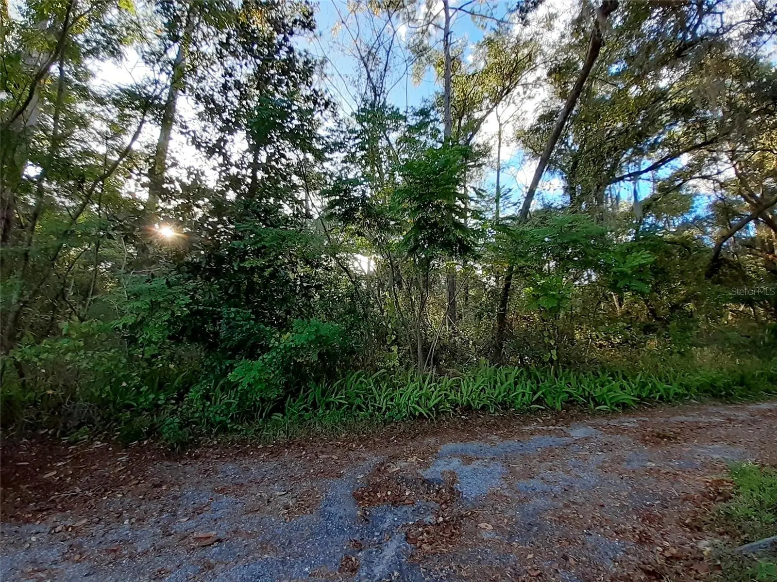 Blue Ridge Avenue, FL