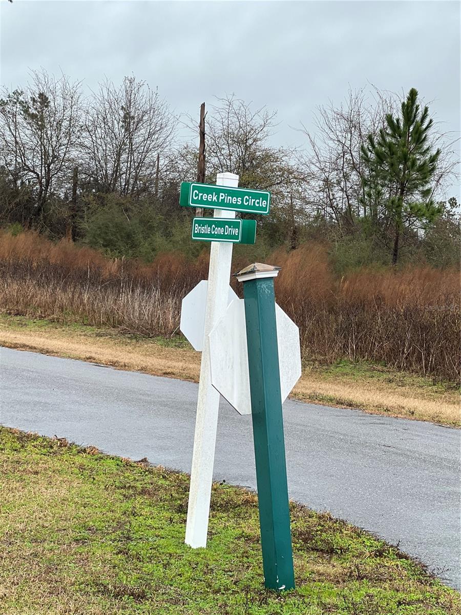 Creek Pines Circle, FL