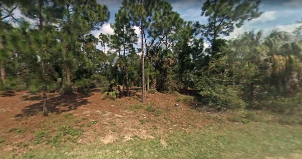 Phillips Road, FL