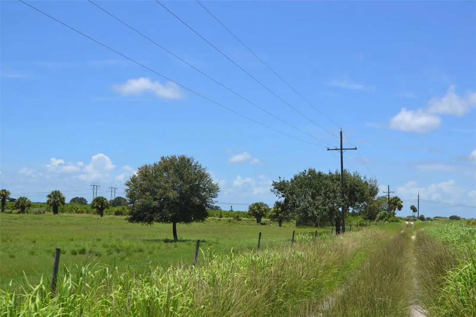 Schumann Road, FL