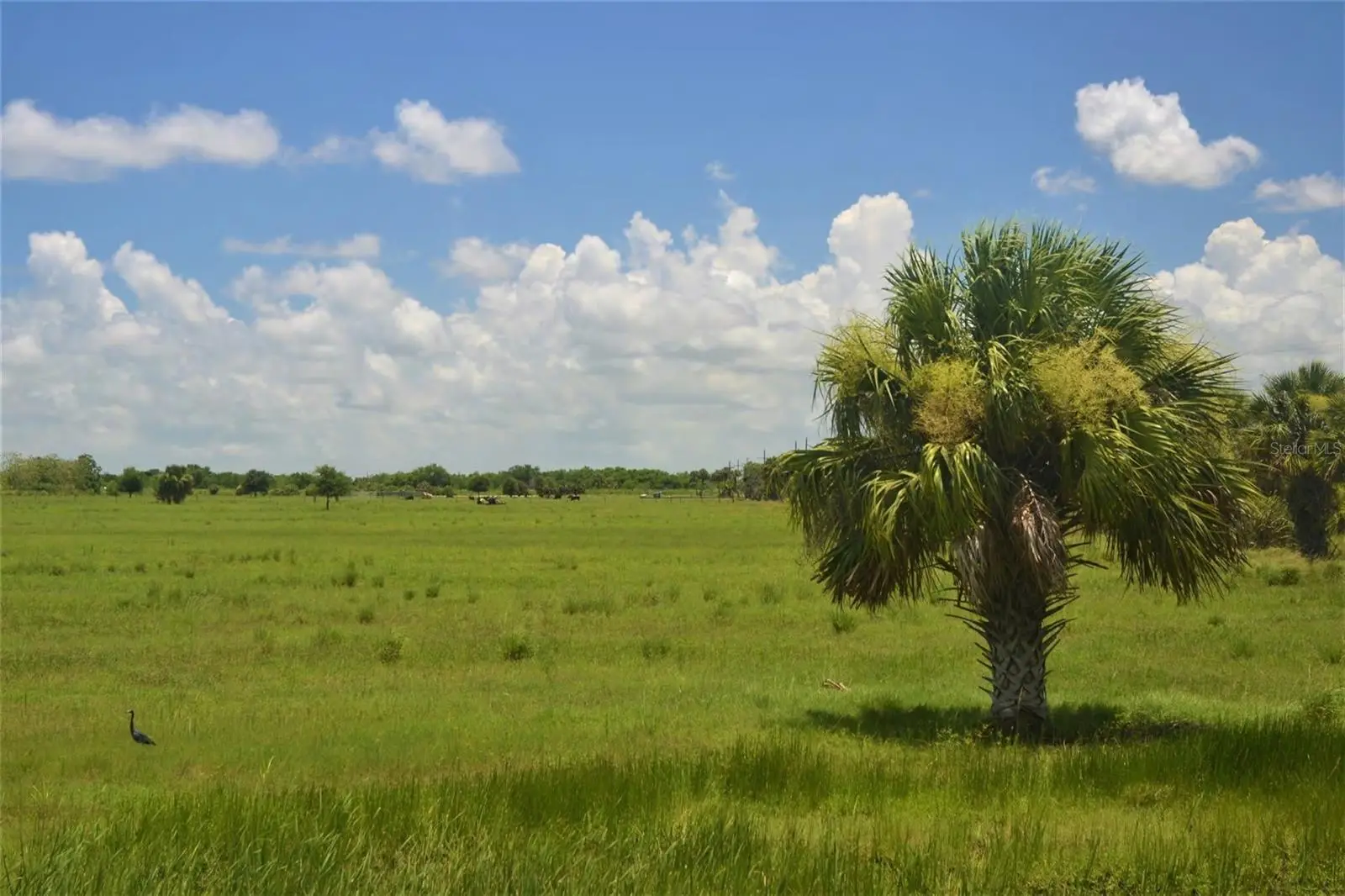 Schumann Road, FL