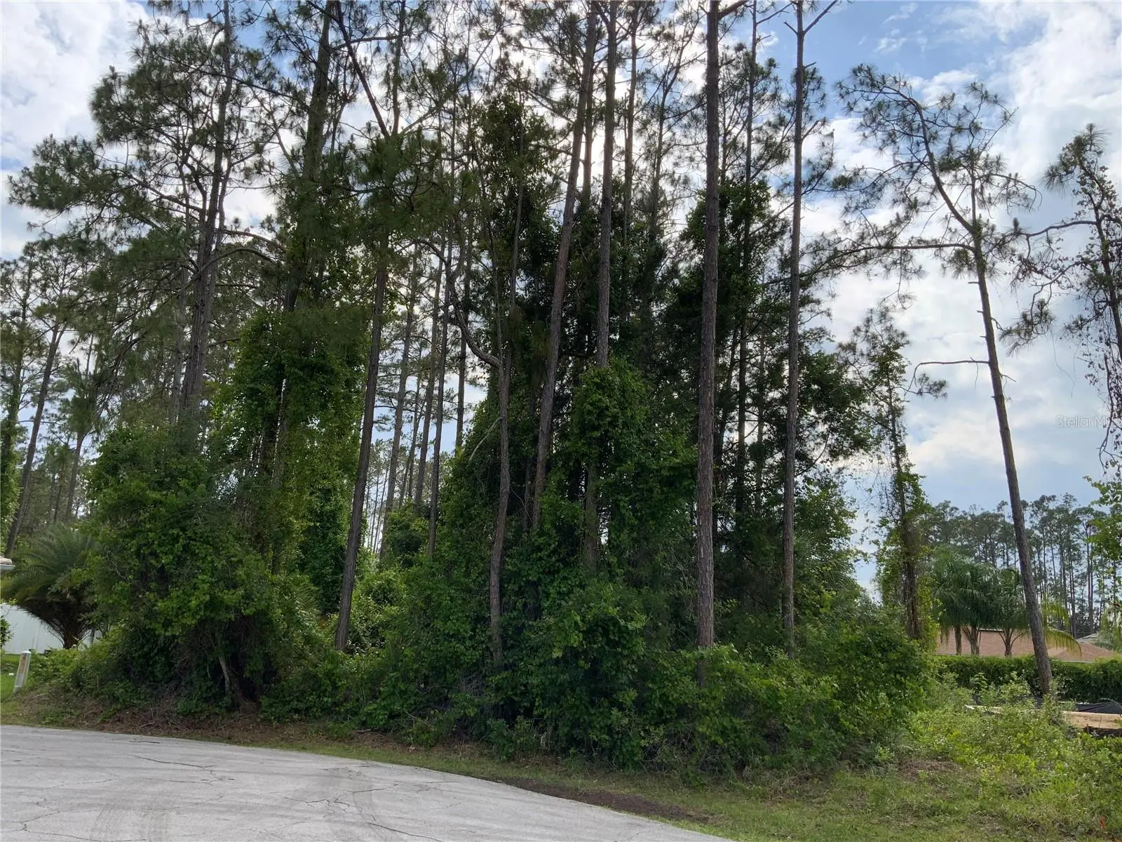 10 Ripton Place, FL