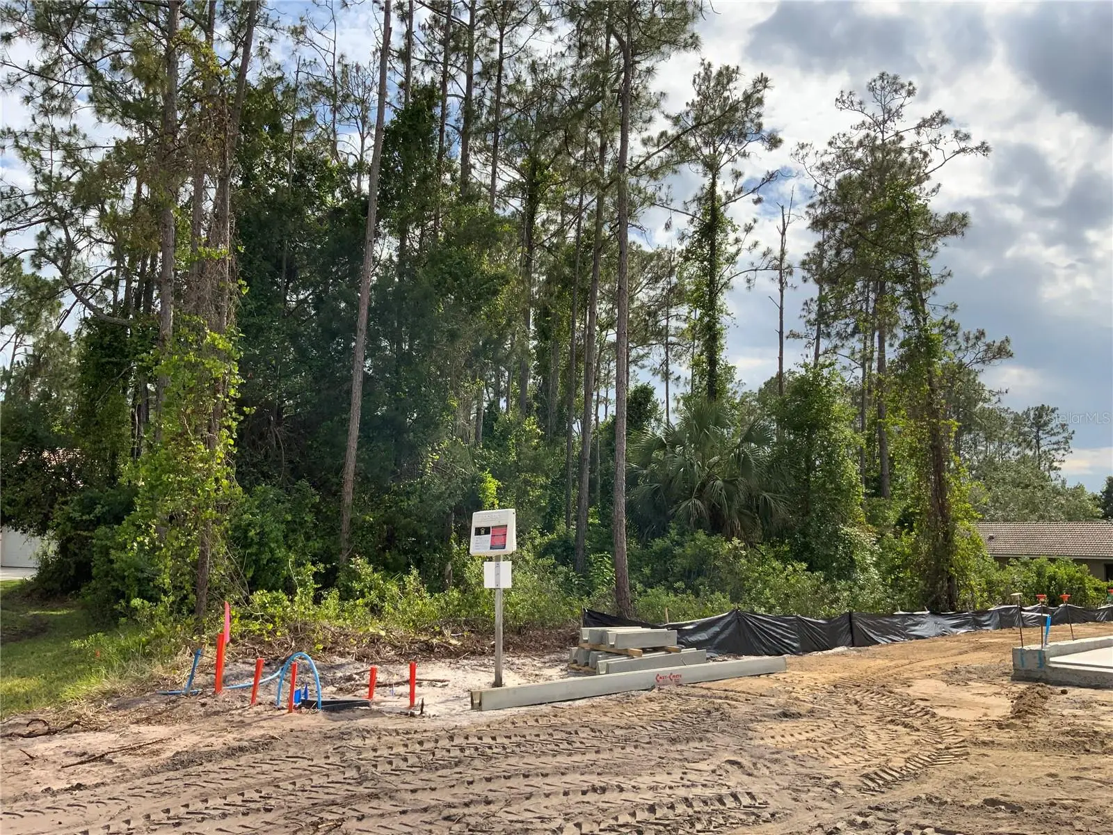 10 Ripton Place, FL