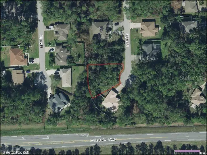 10 Ripton Place, FL
