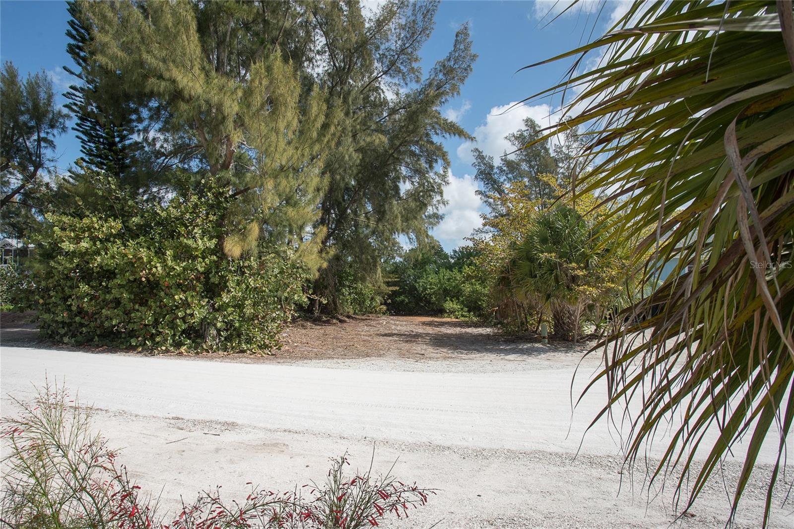 322 Gulf Boulevard, FL