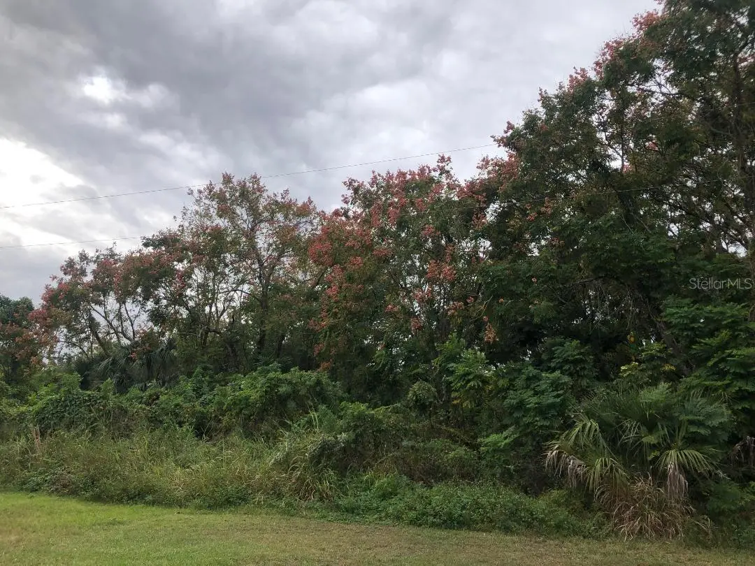 Virginia Drive, FL
