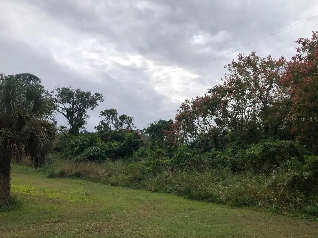 Virginia Drive, FL