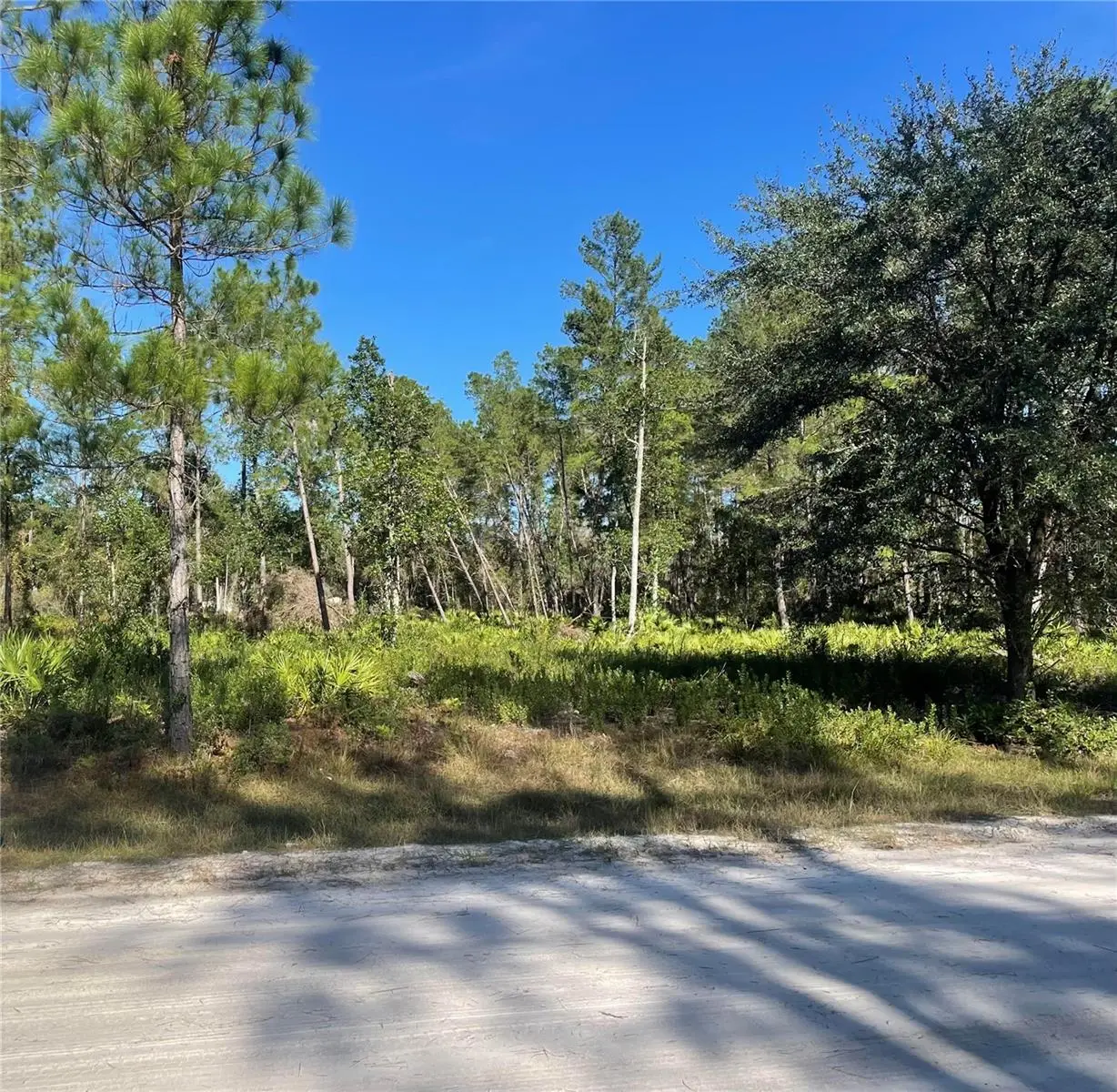 224 Plumosa Drive, FL