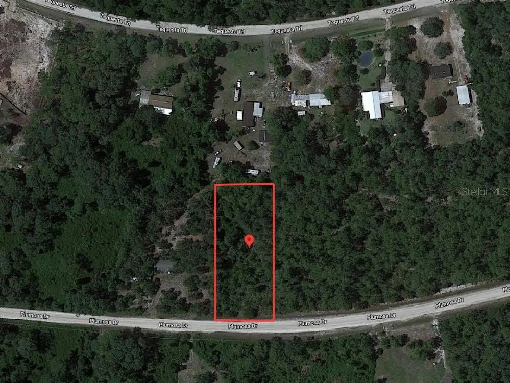 224 Plumosa Drive, FL