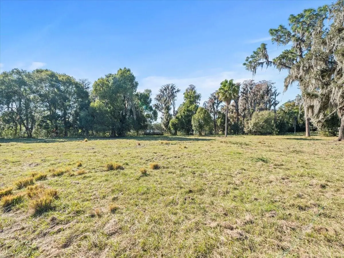 Boy Scout Road, FL