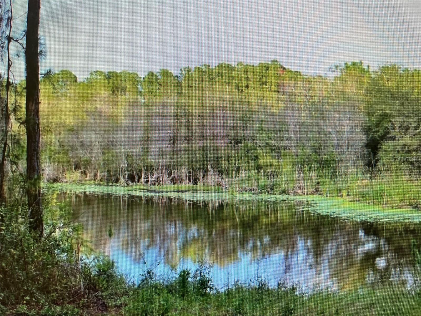 Lot A,B,C,D,E,F Narcissus Terrace, FL