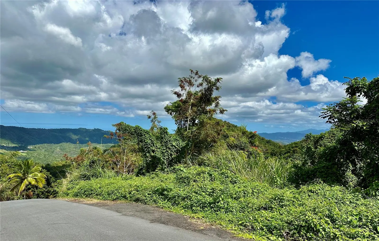 Road 785 Km.Hm 4 Barrio Caguitas, PR