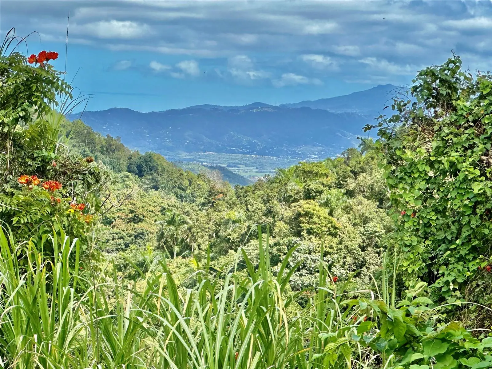Road 785 Km.Hm 4 Barrio Caguitas, PR