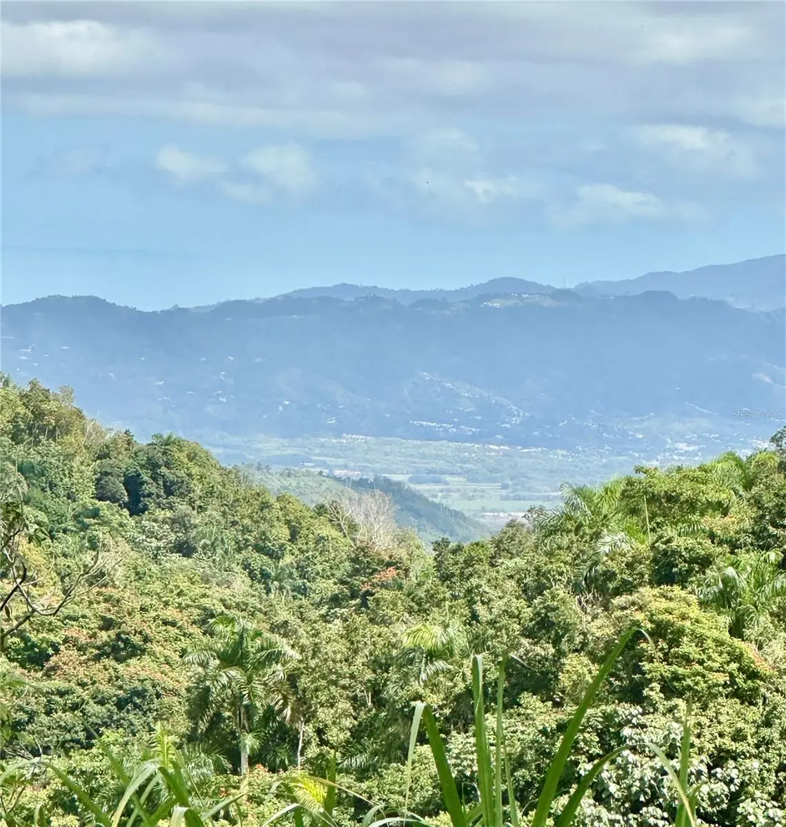 Road 785 Km.Hm 4 Barrio Caguitas, PR