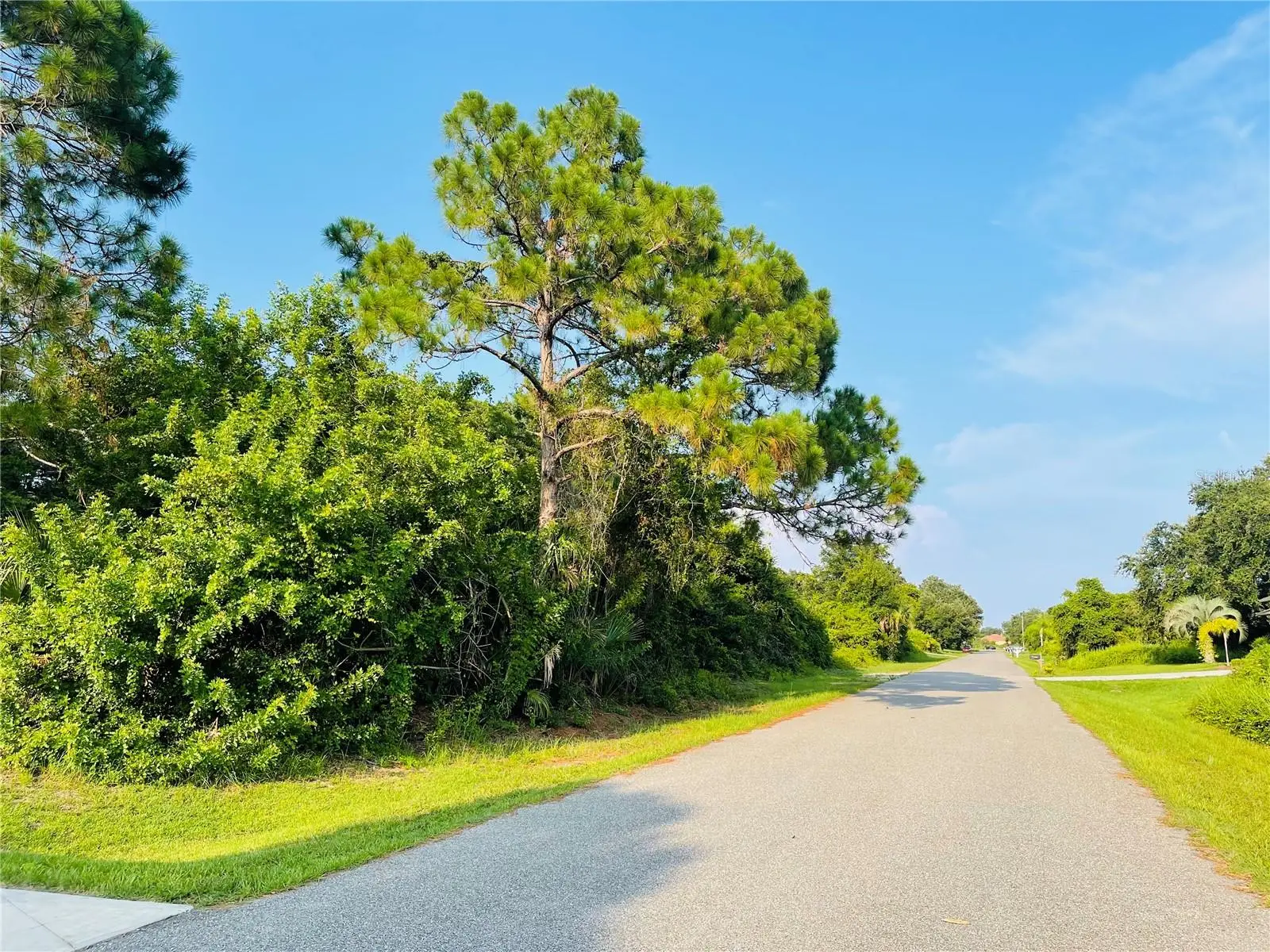 Lot 12 Attalla Avenue, FL