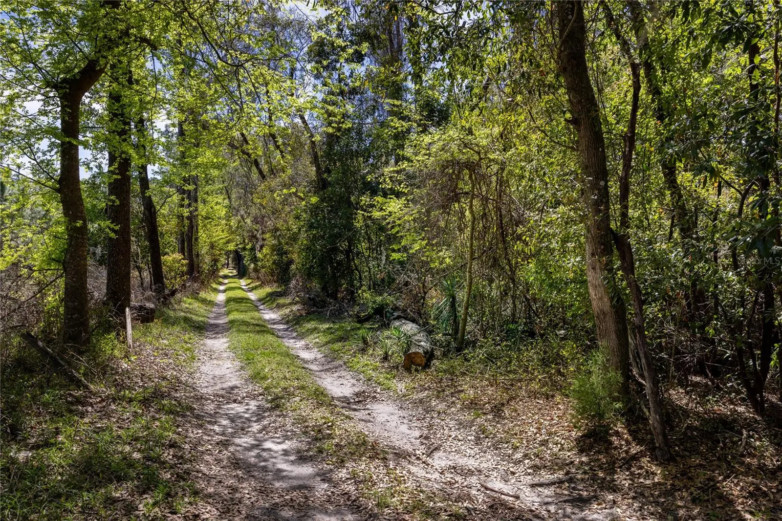 253rd Street, FL