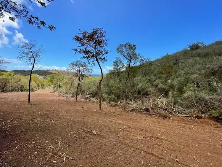 Villa Borinquen, PR