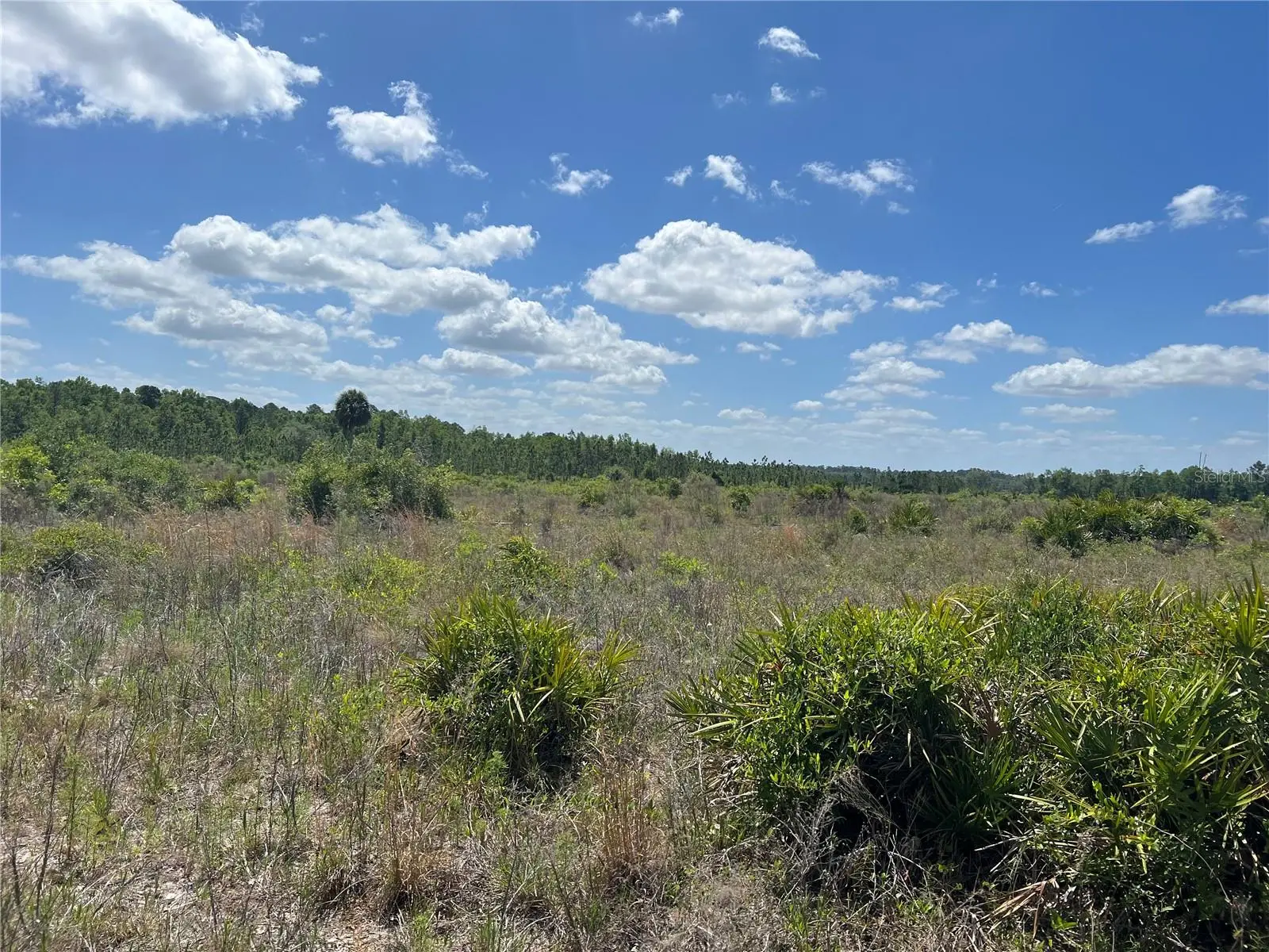 Hwy 40, FL