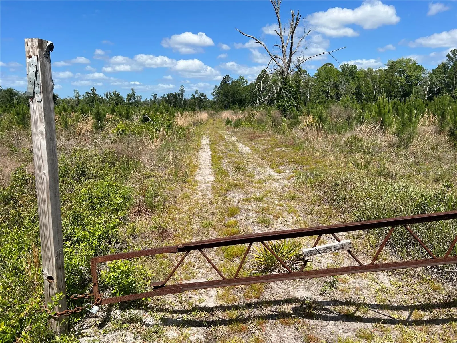 Hwy 40, FL