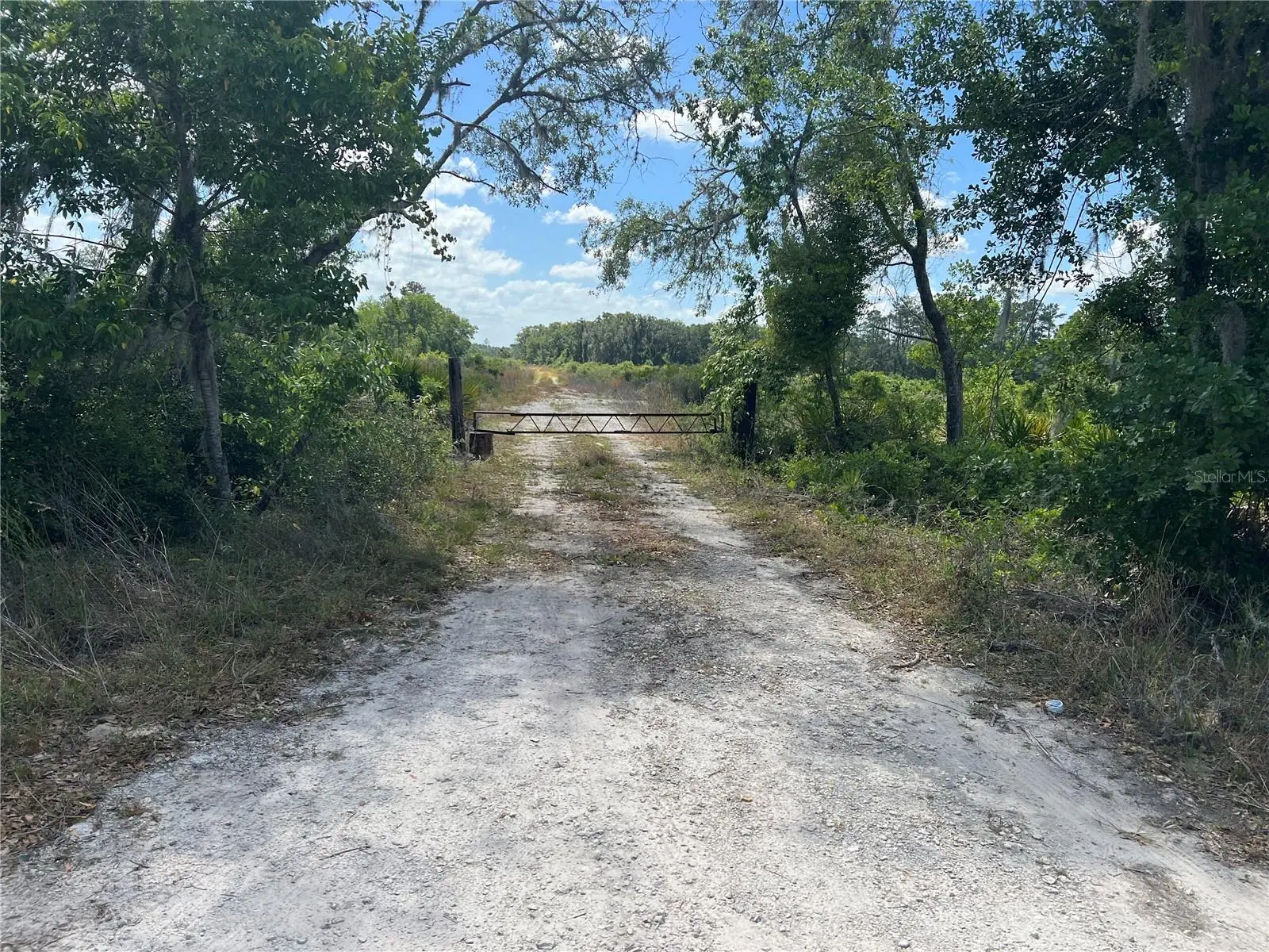 Hwy 40, FL