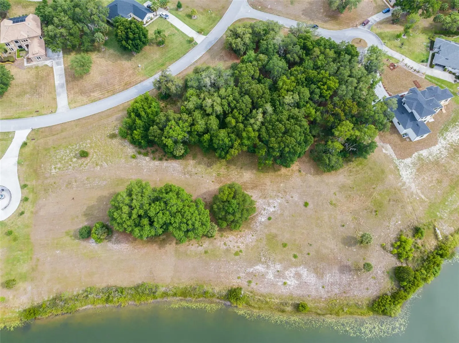 36701 Barrington Drive, FL