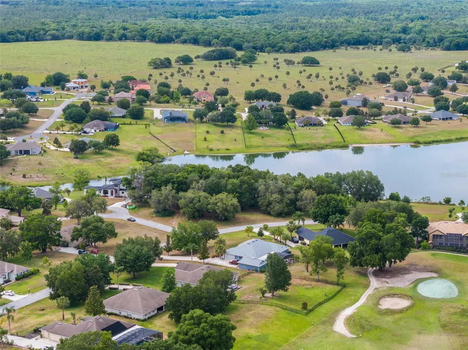 36701 Barrington Drive, FL