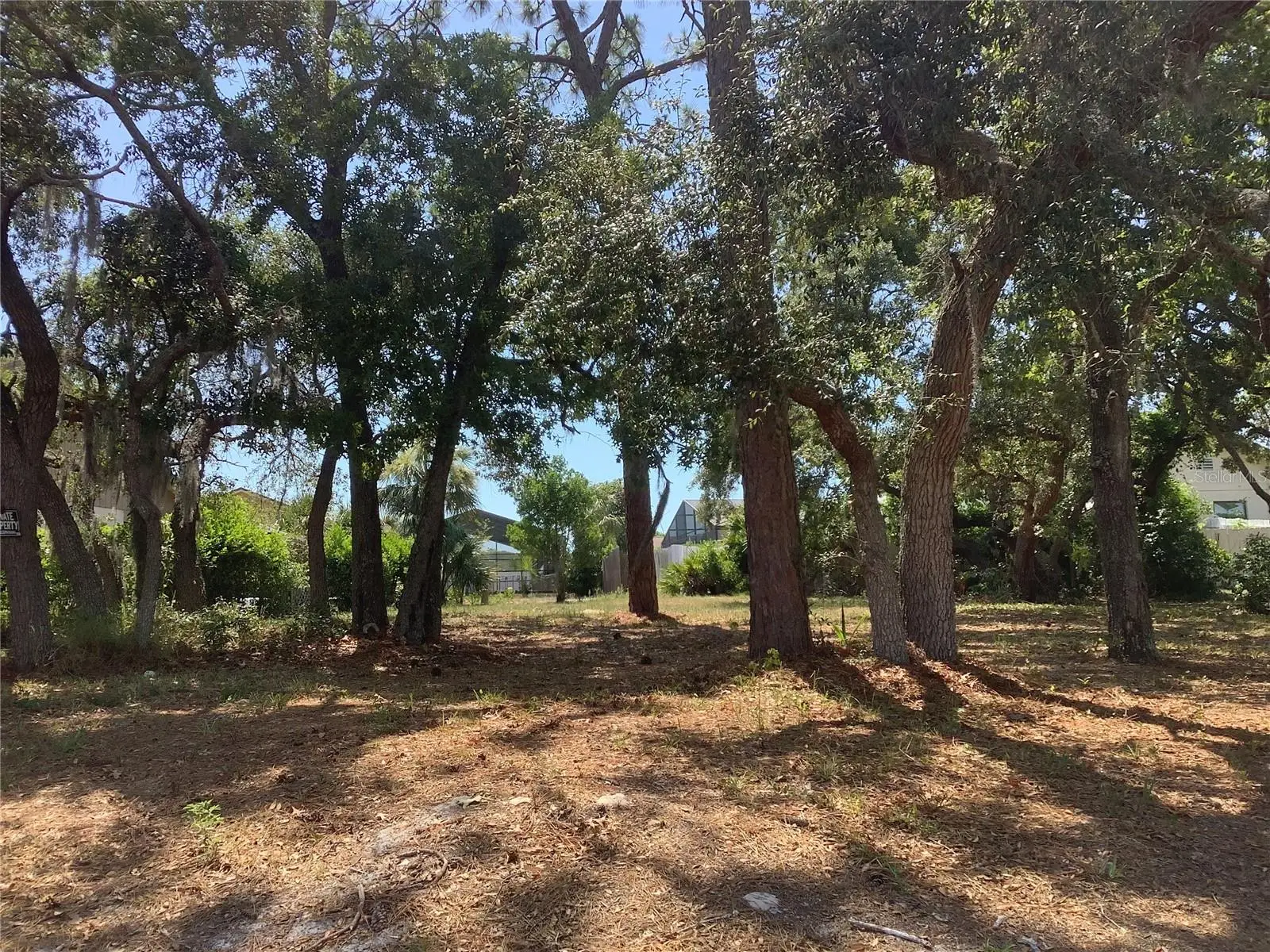18657 White Pine Circle, FL