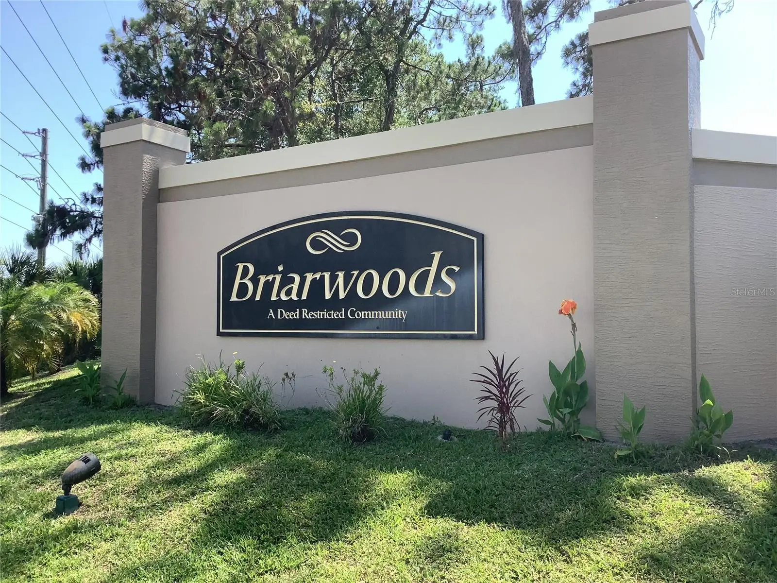18657 White Pine Circle, FL