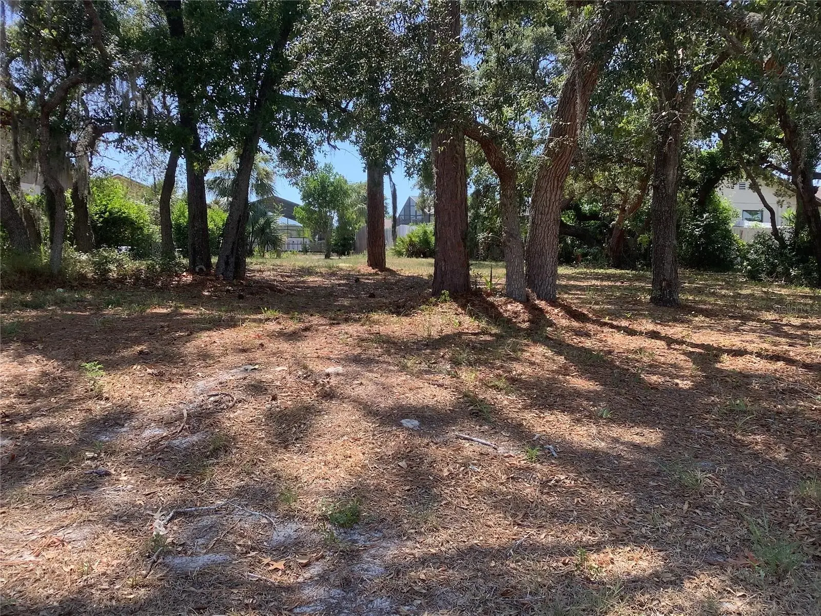 18657 White Pine Circle, FL