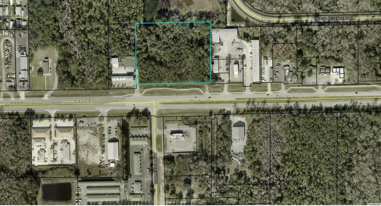 Sr 100, FL