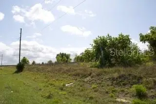 Kokomo Road, FL