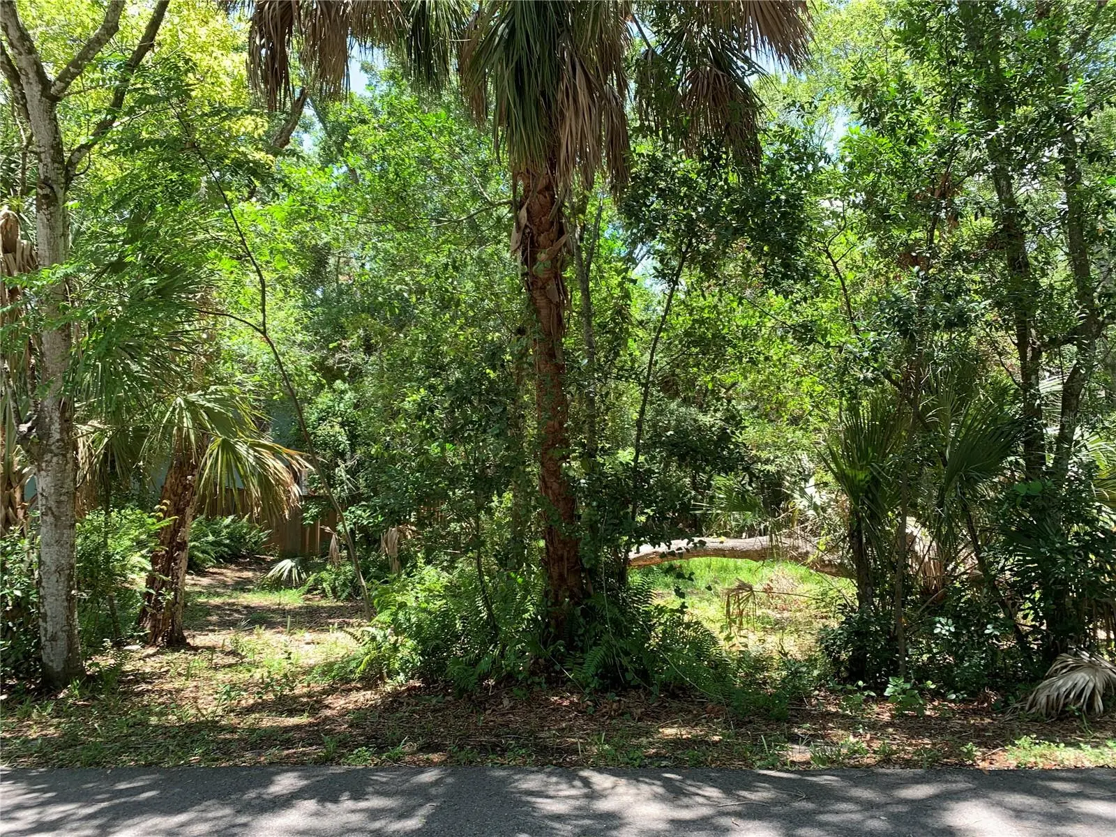 Center Avenue, FL