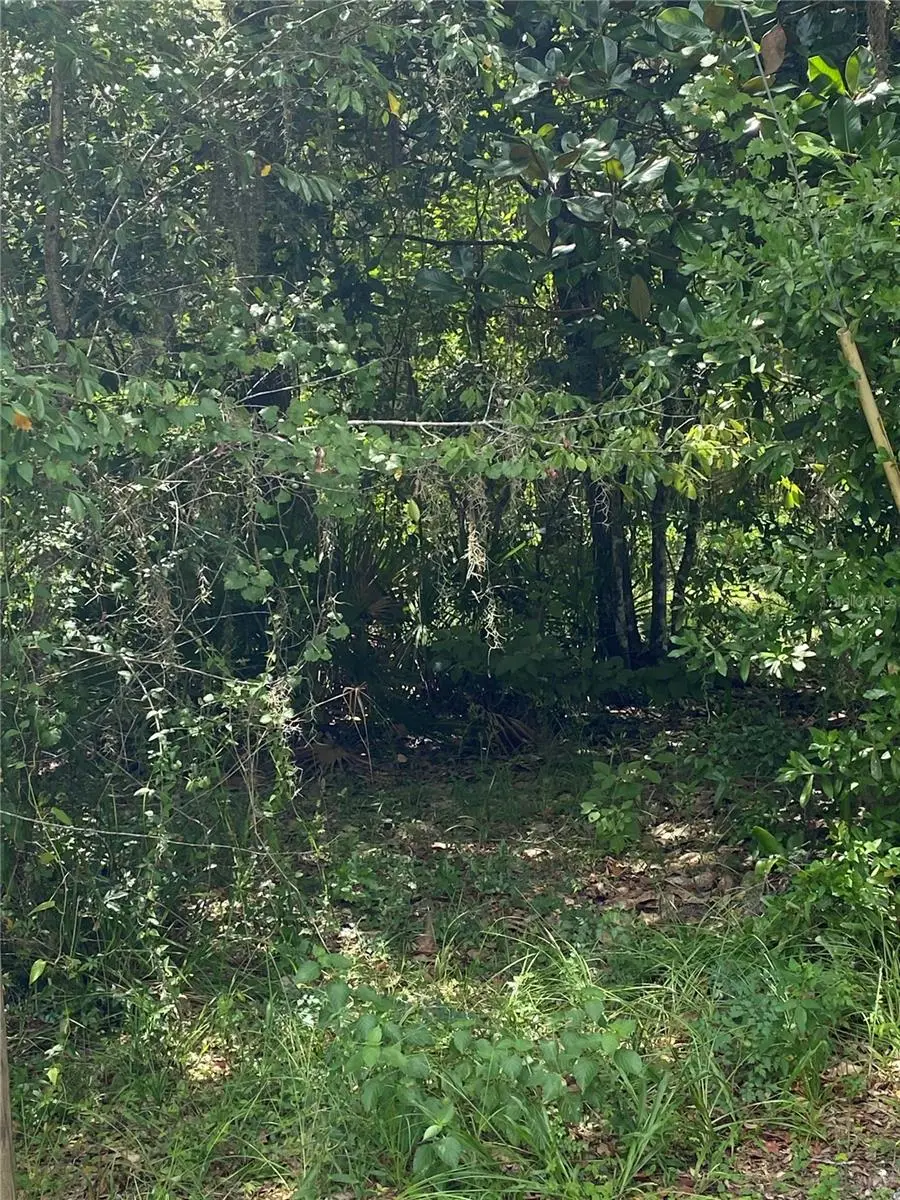 Cr 448c, FL