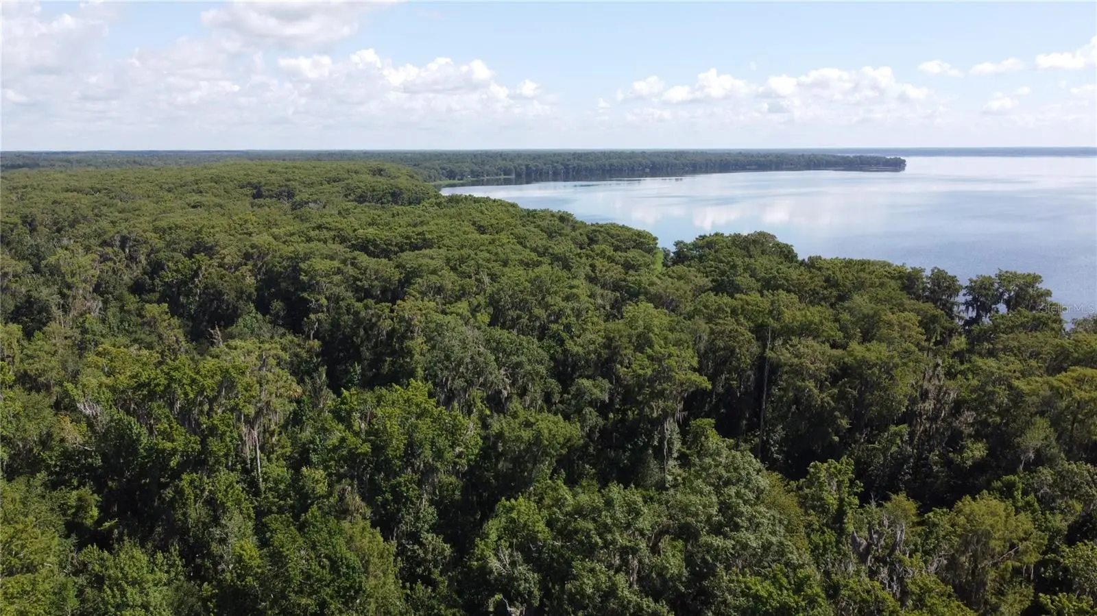 Hawthorne Road, FL