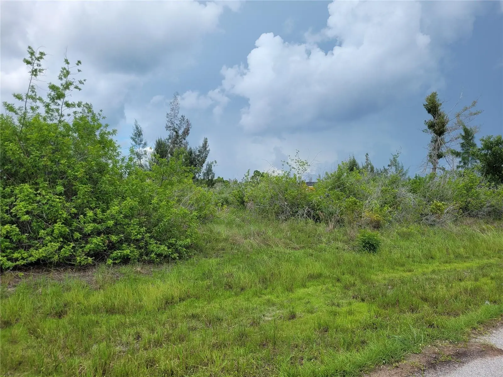 10136 Amy Terrace, FL