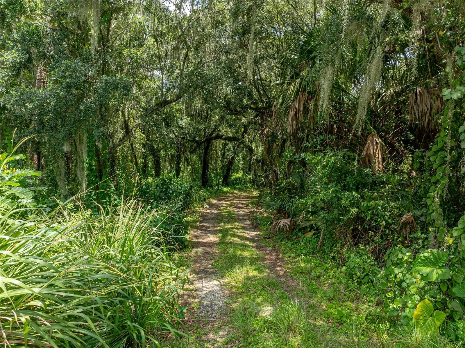 0 Timberlane Road, FL