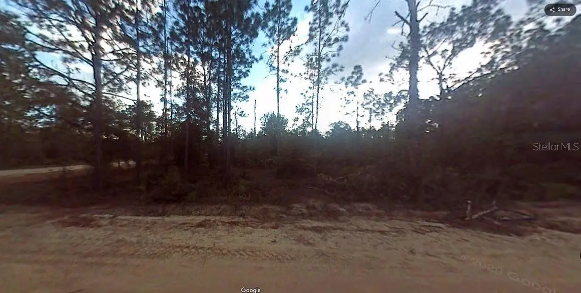 Evergreen Street, FL