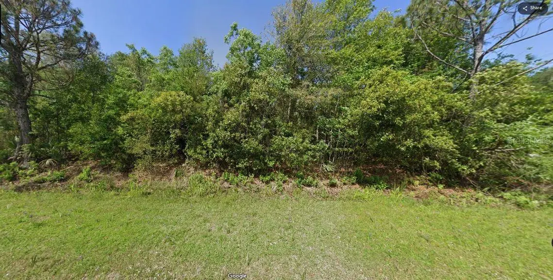 Paradise Lakes Avenue, FL