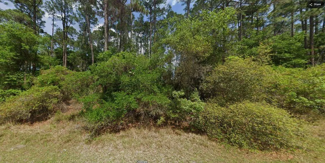 Shirley Cir,, FL
