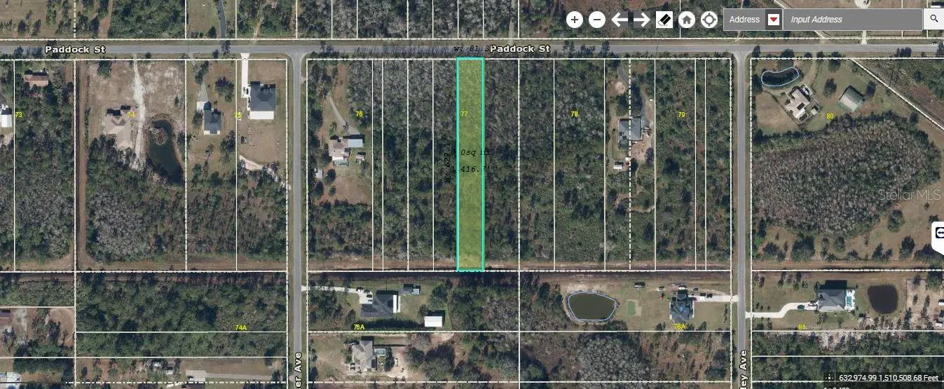Paddock Street, FL